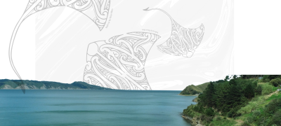 Rongomaiwahine Iwi Wānanga