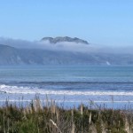 Diabetes & Nutrition Wānanga