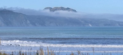 Diabetes & Nutrition Wānanga