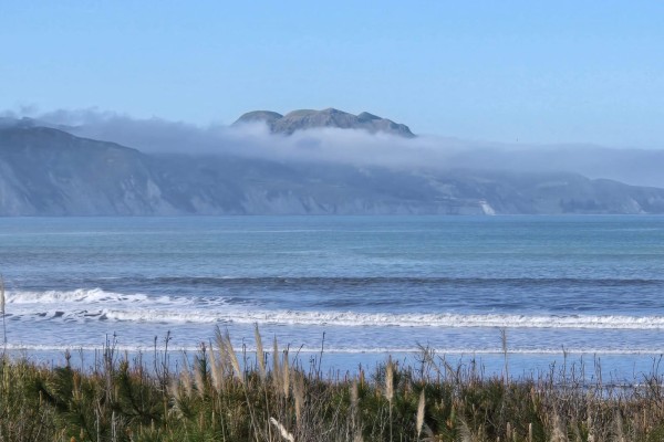 Diabetes & Nutrition Wānanga