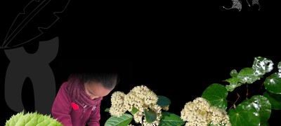 Rongomaiwahine Iwi Wānanga