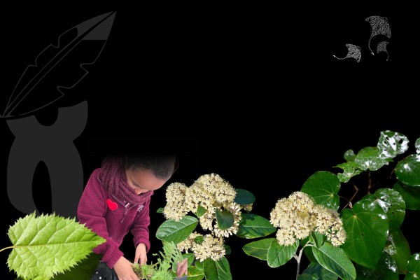 Rongomaiwahine Iwi Wānanga