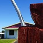 Dementia Awareness Training – Māhia