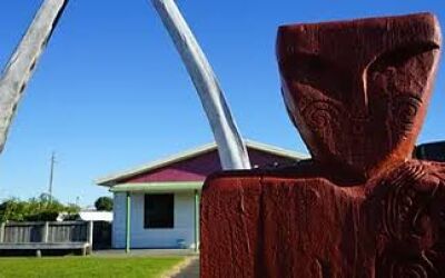 Dementia Awareness Training – Māhia