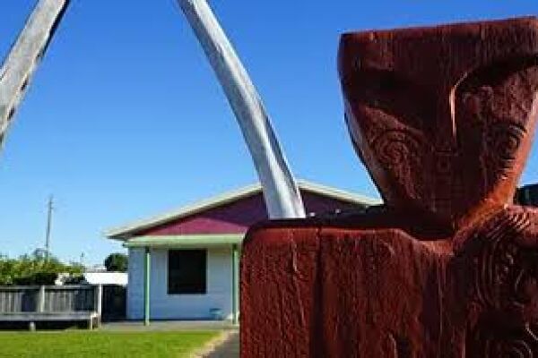 Dementia Awareness Training – Māhia