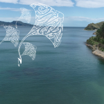 Rongomaiwahine Iwi Wānanga
