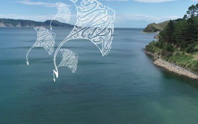 Rongomaiwahine Iwi Wānanga