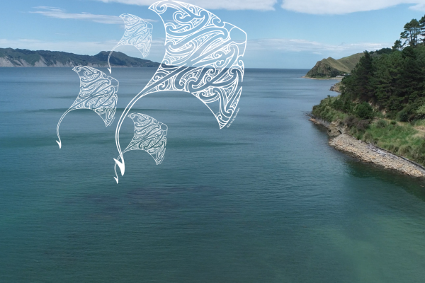 Rongomaiwahine Iwi Wānanga
