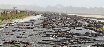 Māhia Resilience Hui