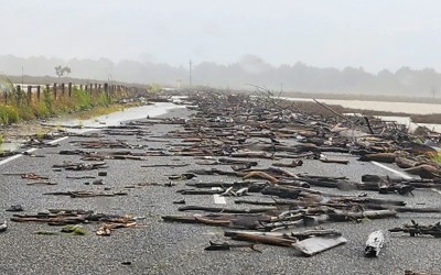 Māhia Resilience Hui
