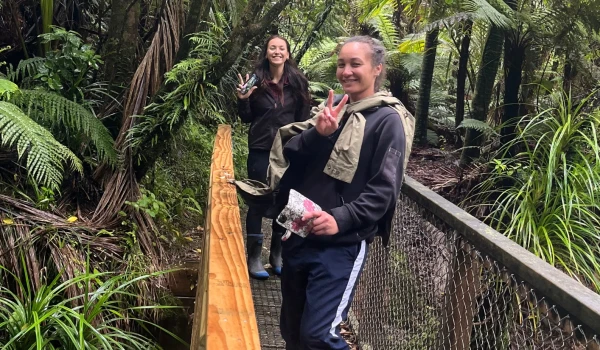 Nikau Loop Track. 