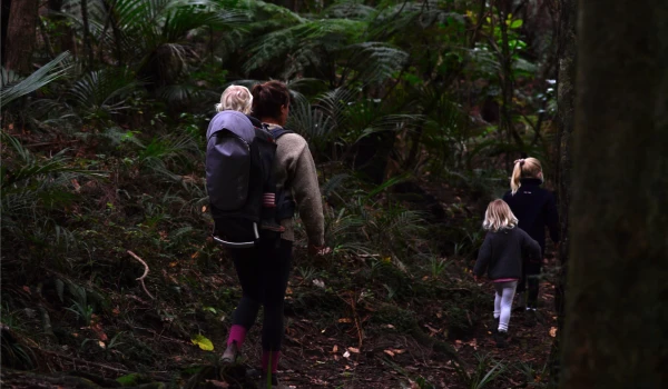 Māhia Scenic Reserve Loop Track. 
