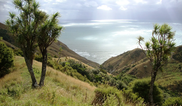 Mahia Peninsular Scenic Reserve Walk. 