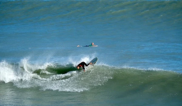 Surf. 