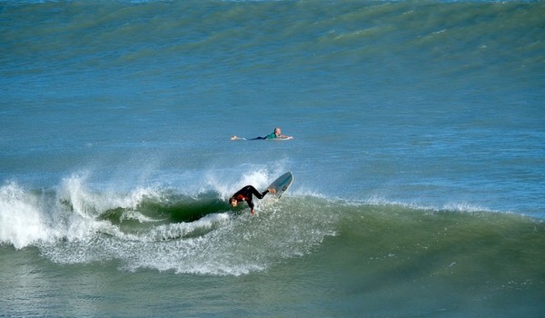 Surf. 