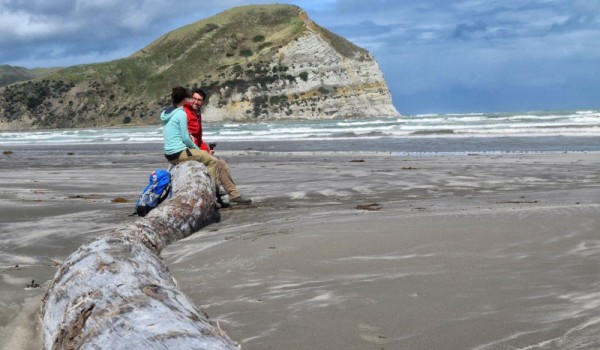 Mokotahi Walk. 