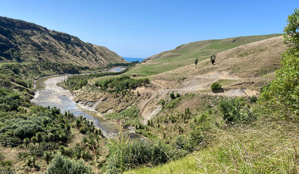 Te Aratia Walkway. 