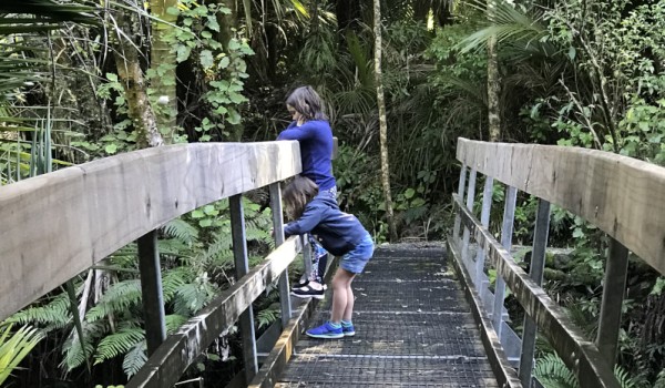 Nikau Walk. 